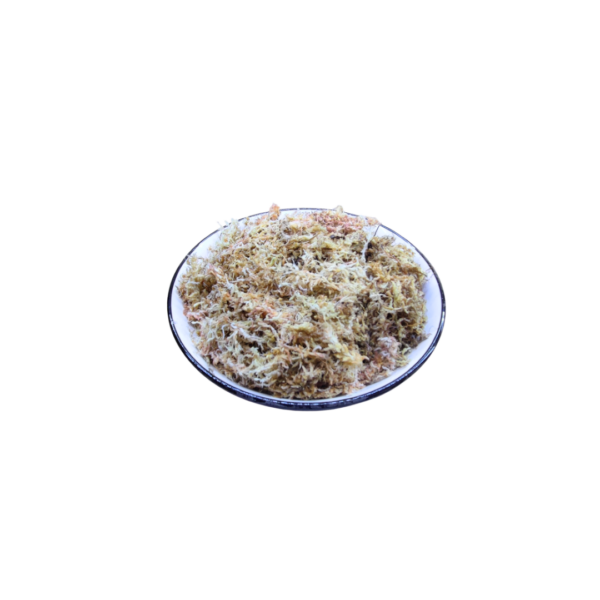 Musgo Sphagnum 1 kilo