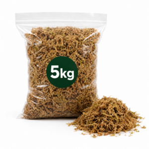Musgo Sphagnum 5 kilos