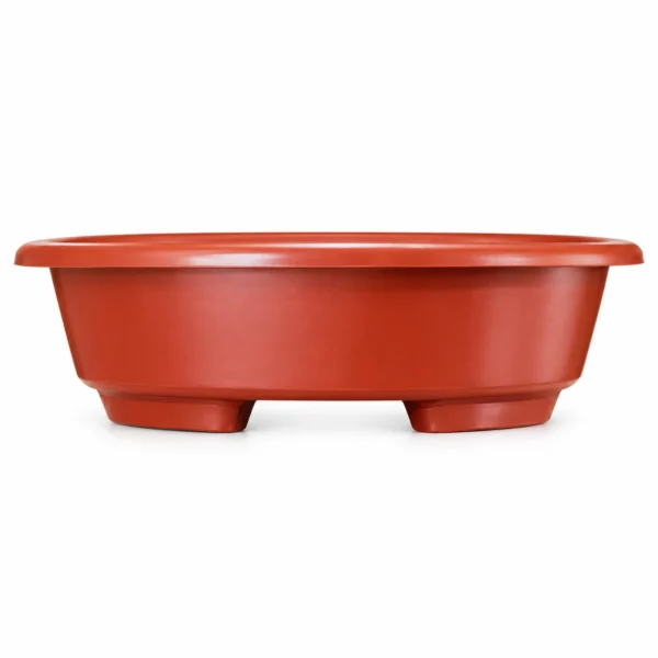 Set 2 Macetas Bonsai Plásticas Ovaladas De Mantenimiento