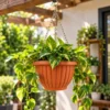 Macetero colgante plástico 52*20cm